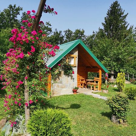 Gazela Bungalov 2 Mojkovac Bagian luar foto