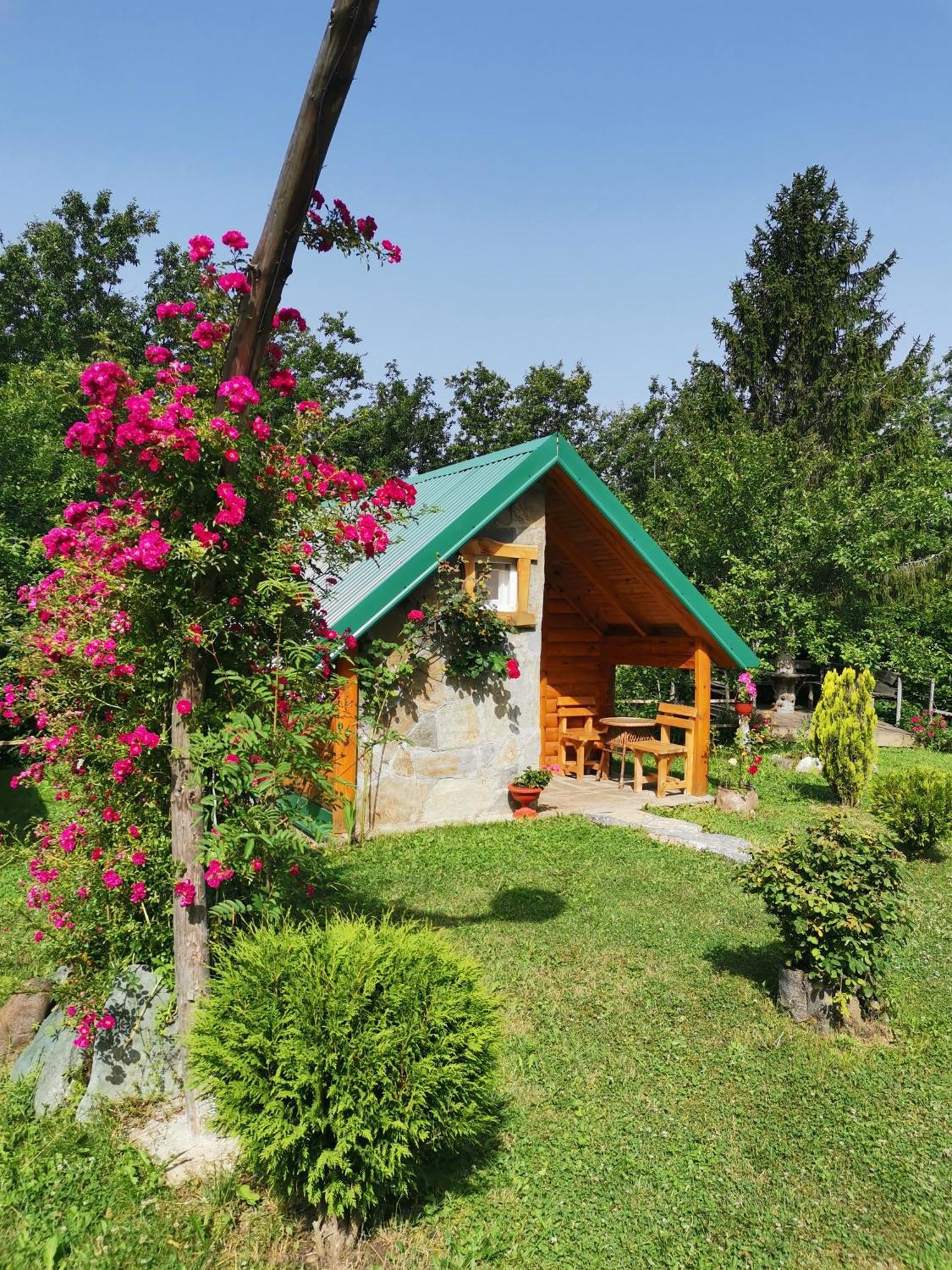 Gazela Bungalov 2 Mojkovac Bagian luar foto